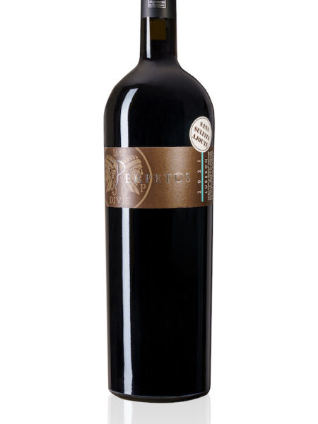 Vin rouge 2021 - sans sulfites - Magnum 1,5l