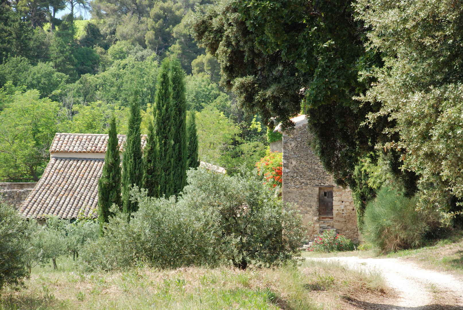 gite luberon domaine les perpetus La tour d'aigues