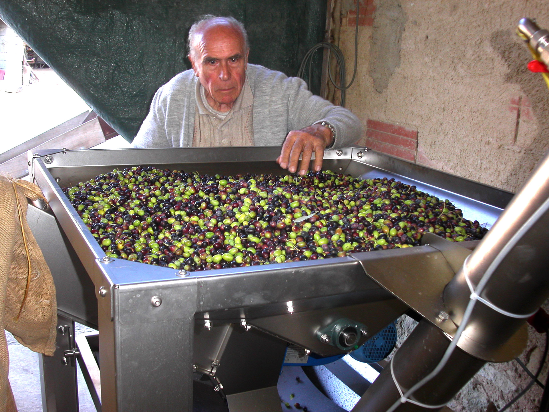 huile d'olive artisanale au moulin des Perpetus