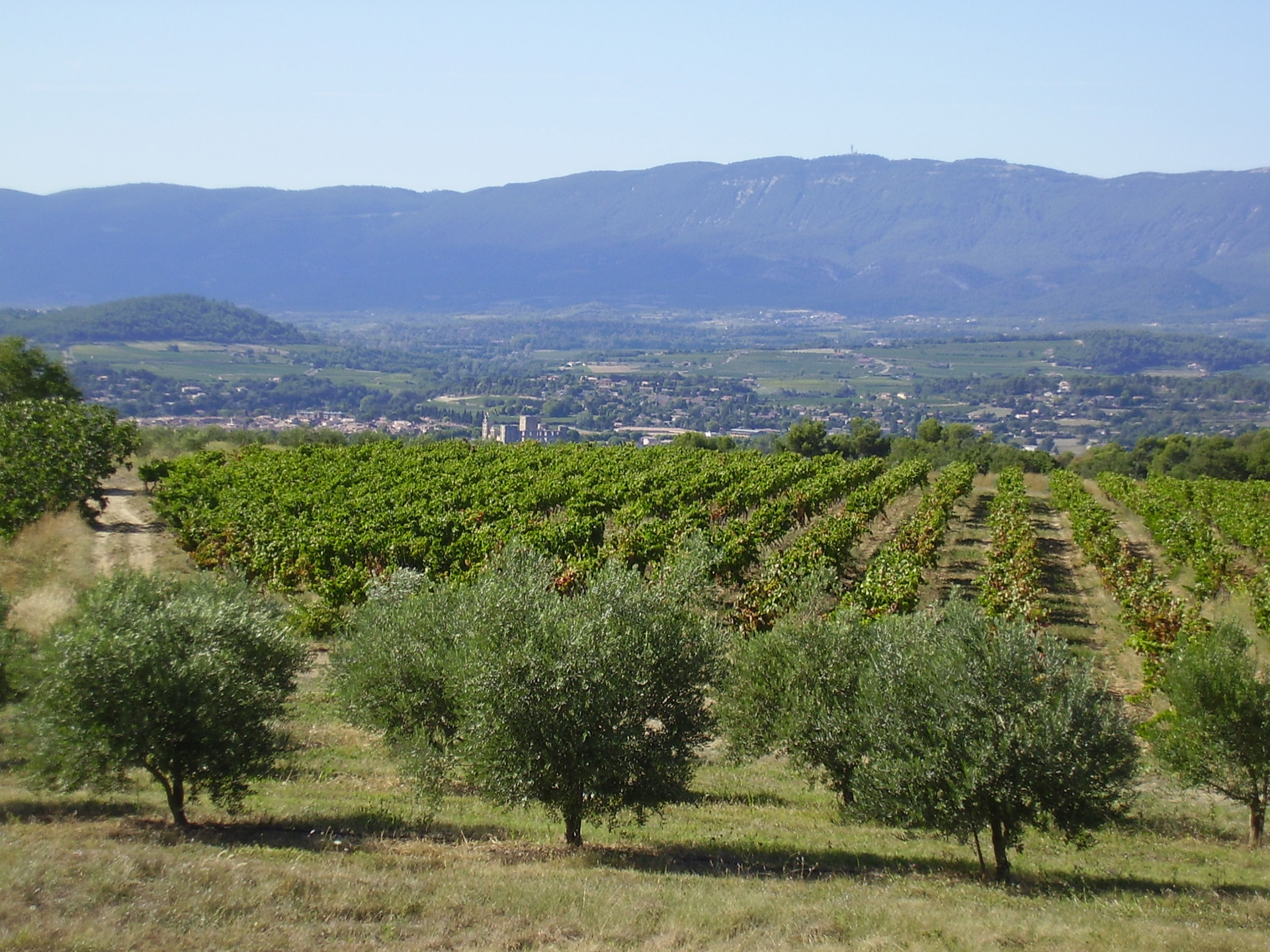 Vue sur le Massif du Luberon