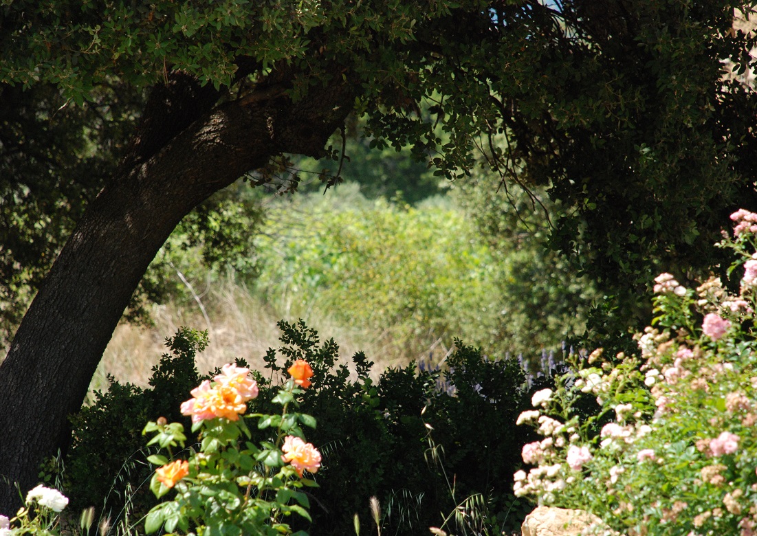 La biodiversité dans le Luberon