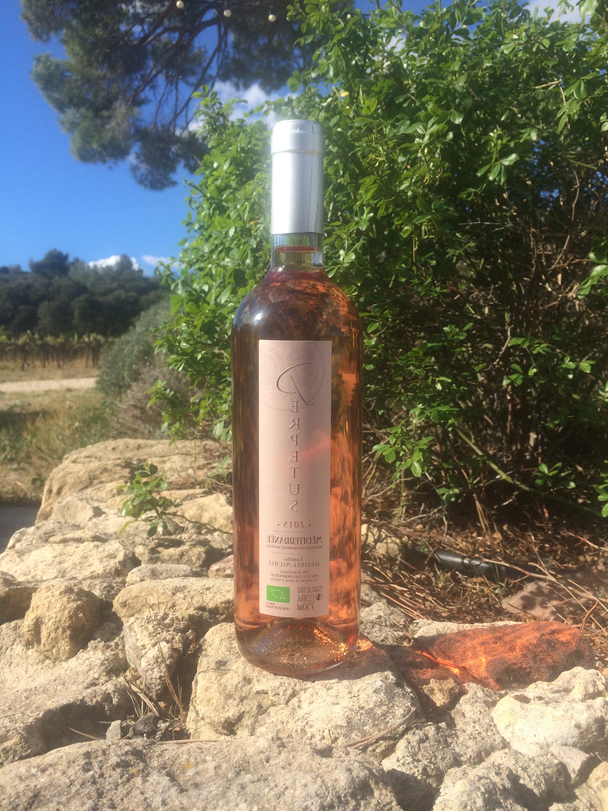 Venez déguster notre Rosé 2015!