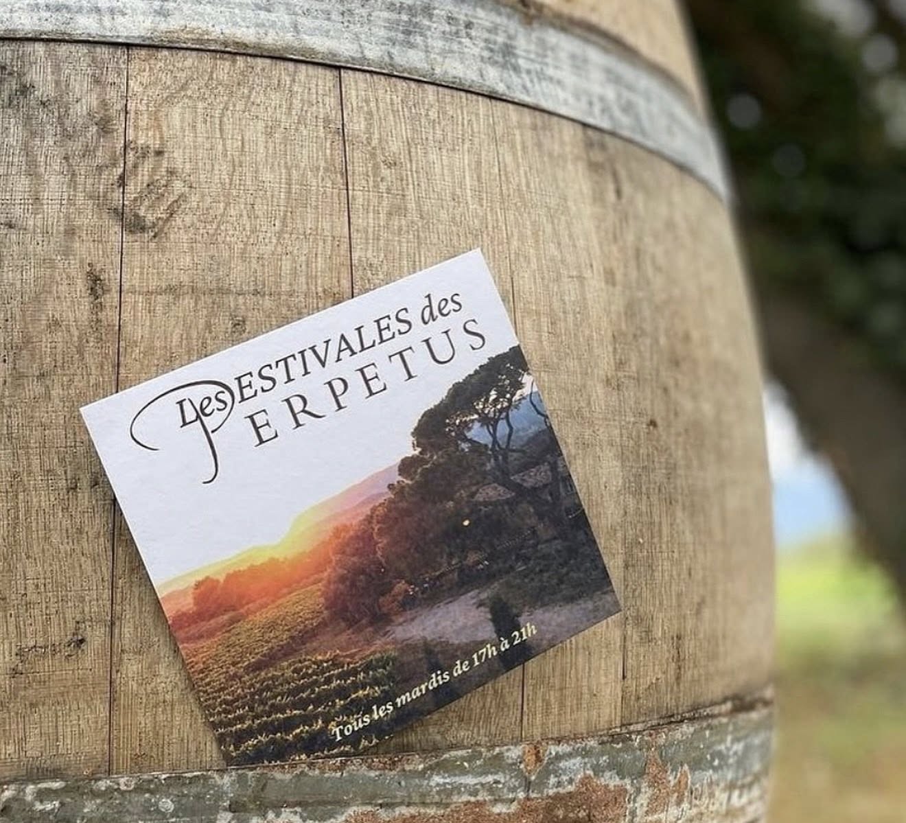 Soirée un Verre dans les vignes les mardis été 2026