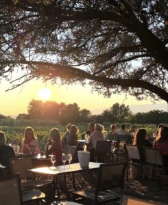 Soirée domaine Luberon planche apéro et vins du luberon